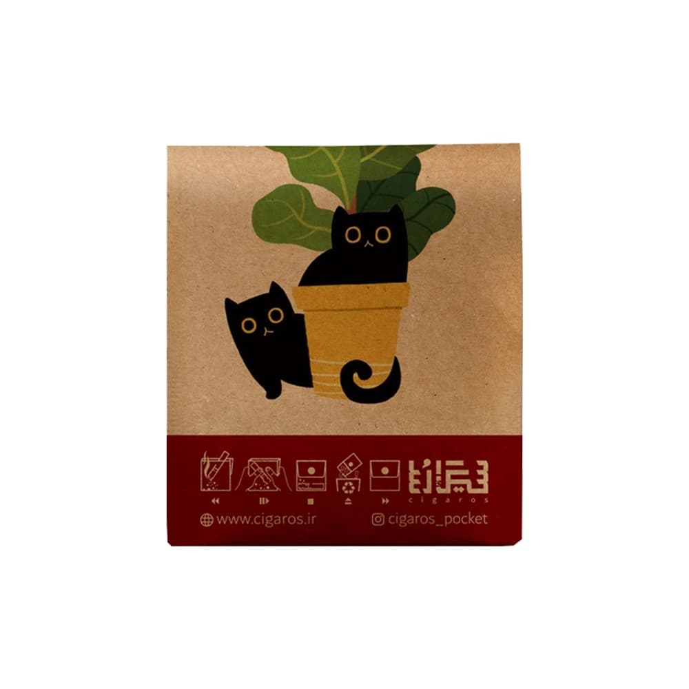 cat-2.webp